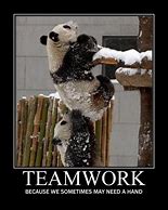 Image result for Funny Teamwork Quotes