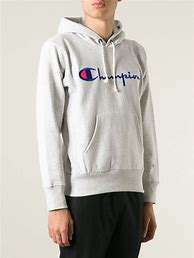 Image result for Champion Hoodie Grey Hood Navy