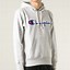 Image result for champion hoodie