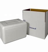 Image result for Small Foam Cooler