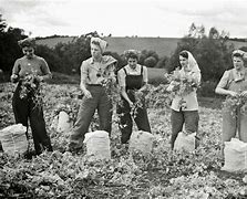 Image result for World War 2 Land Girls