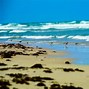 Image result for Beaches in Texas with Clearwater