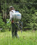 Image result for weed control 