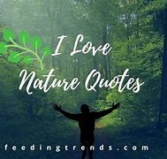 Image result for Nature Love Quotes