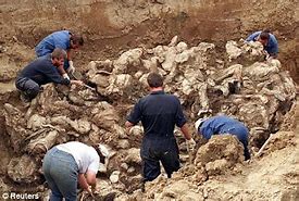 Image result for Bosnia Ethnic Cleansing