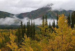Image result for Alaska Autumn