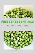 Image result for Essentials Freezer