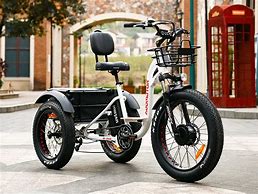 Image result for Fat Tire Electric Cargo Trike
