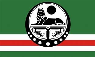Image result for Chechen Insurgent Flag