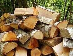 Image result for Timber Logs