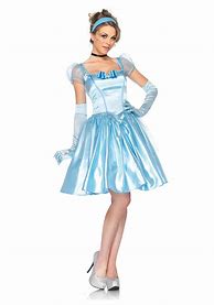 Image result for Cinderella Adult Fancy Dress Costume
