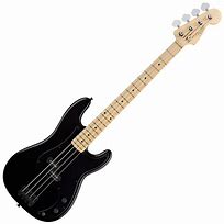 Image result for fender roger waters bass