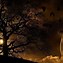 Image result for Cool Wallpapers at Night Tree