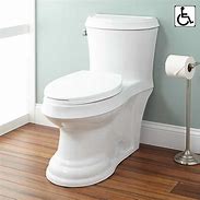 Image result for Elongated Toilet