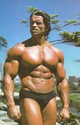 Image result for Herbert Cukurs Physique