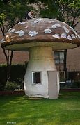 Image result for Giant Mushroom House