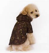 Image result for Fashion Dog Clothes