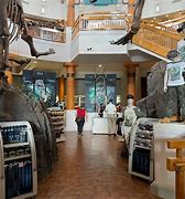 Image result for Jurassic World Shop