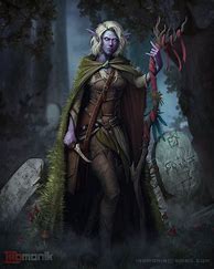 Image result for Pink Haired Druid Male