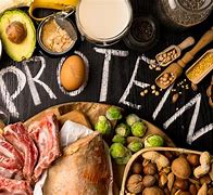 Image result for Protein