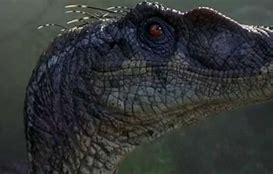 Image result for Jurassic Park Raptor Head