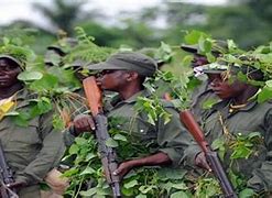 Image result for Who Fought in the Second Congo War