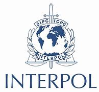 Image result for Interpol Most Wanted Poster