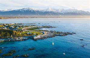 Image result for Kaikoura NZ