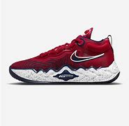 Image result for Nike Air Zoom Basketball Shoes