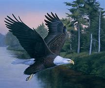 Image result for Soaring Eagle Painting