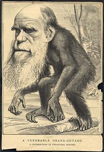 Image result for darinian monkey man
