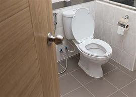 Image result for Back Flush Toilet Installation