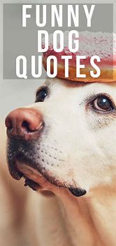 Image result for Funny Dog Quotes Humor
