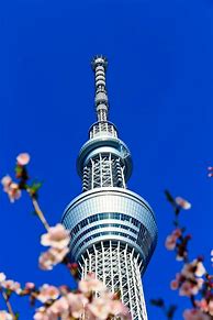 Image result for Tokyo Tree Tower Model