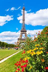 Image result for Paris Eiffel Tower Flowers