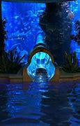 Image result for Underwater Dream Houses