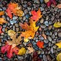 Image result for Autumn Wallpaper for Computer