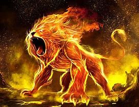 Image result for Fire Lion