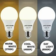 Image result for LED Daylight Light Bulbs