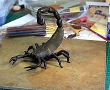 Image result for Clay Scorpion