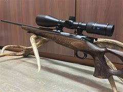 Image result for Mauser M12 Max