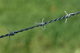Image result for Barbed Wire Roll