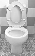 Image result for toilets