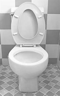Image result for Toilet Front View
