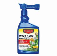 Image result for Weed Killer for Lawns
