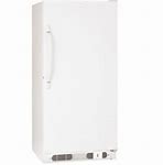 Image result for Commercial Stand Up Freezer