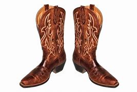 Image result for Didi Conn Boots