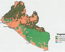 Image result for Liberia War Crimes