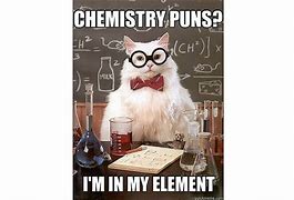 Image result for Chemistry Jokes Cat Funny