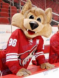 Image result for Howler Coyotes Mascot